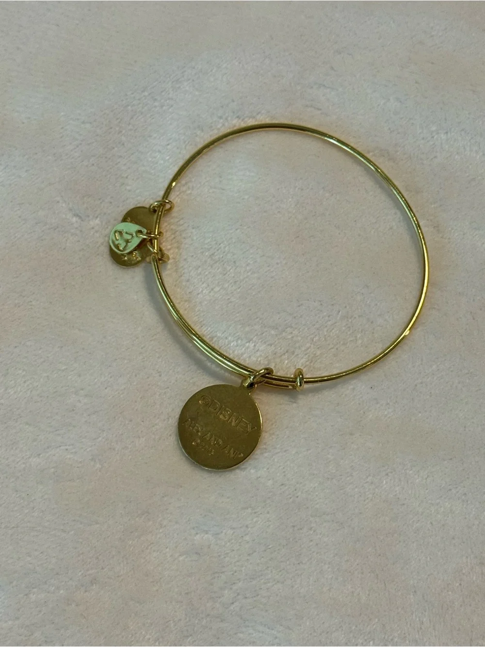 Alex and Ani Disney Parks Aulani Hawaii Green Enamel Charm Bangle — Gold Finish